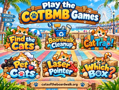 Game On! Fun for the Young and the Young at Heart!