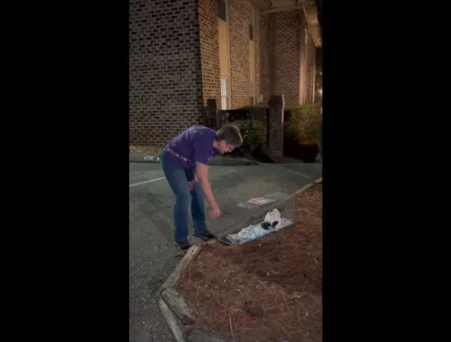 Injured ‘Heart’ to Return to 76th Ave. N Colony