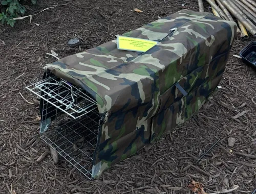 42 Boardwalk Cats Trapped in 9 Months