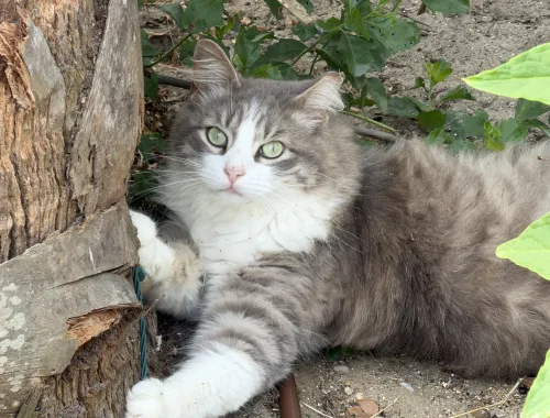 Always posing for the camera