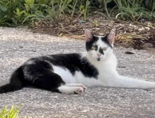 He doesn’t miss a thing on the promenade.