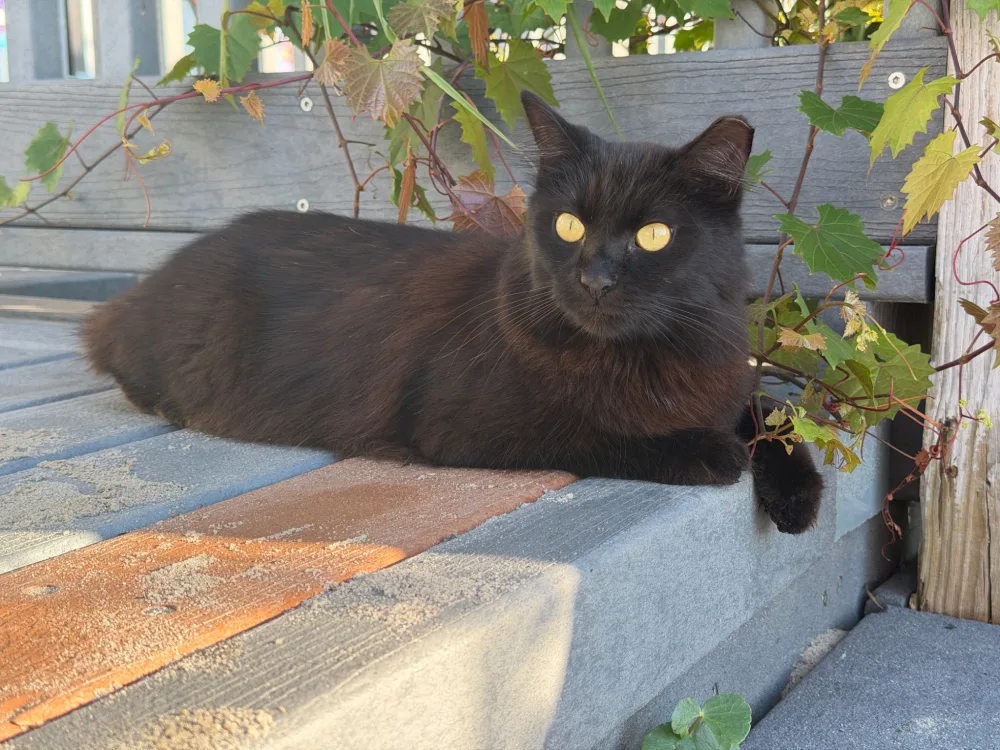 Such beautiful eyes!